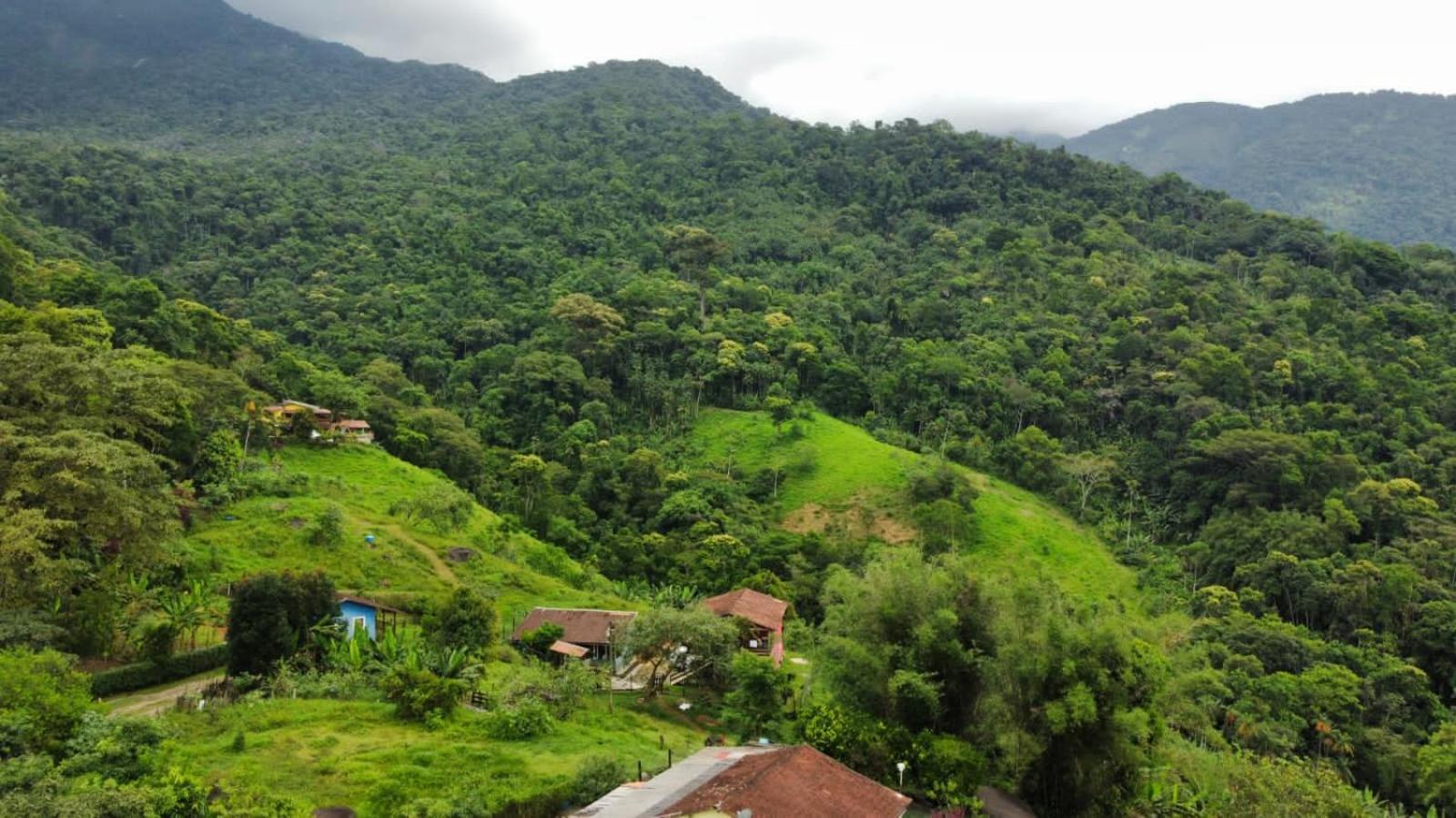 Casa Da Floresta Pico Da Aguia Paraty Ngoại thất bức ảnh