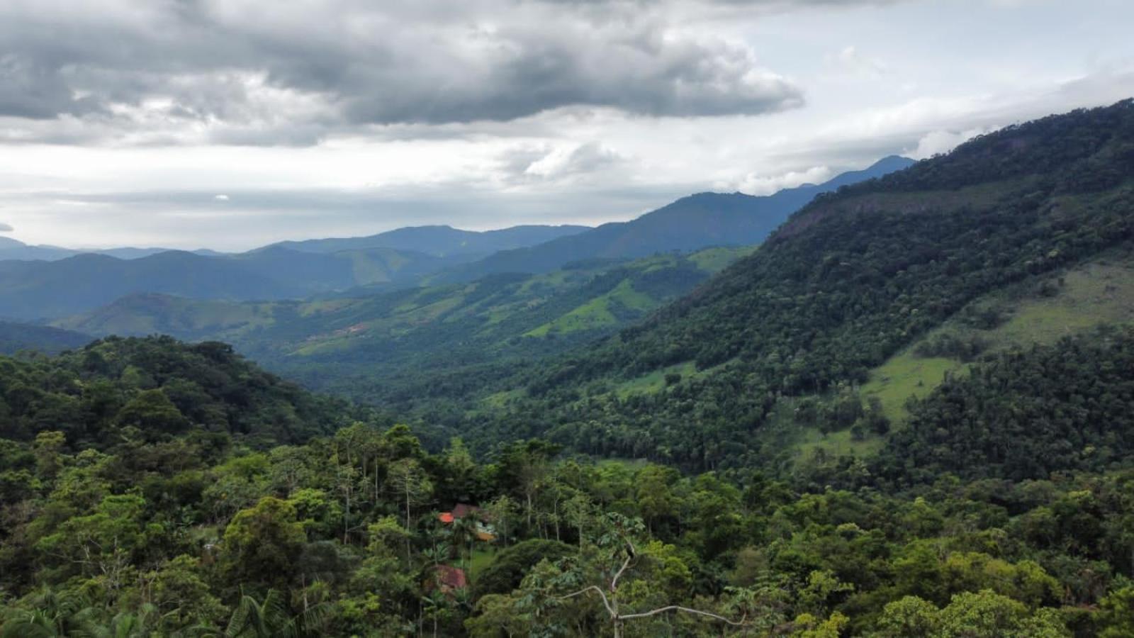 Casa Da Floresta Pico Da Aguia Paraty Ngoại thất bức ảnh