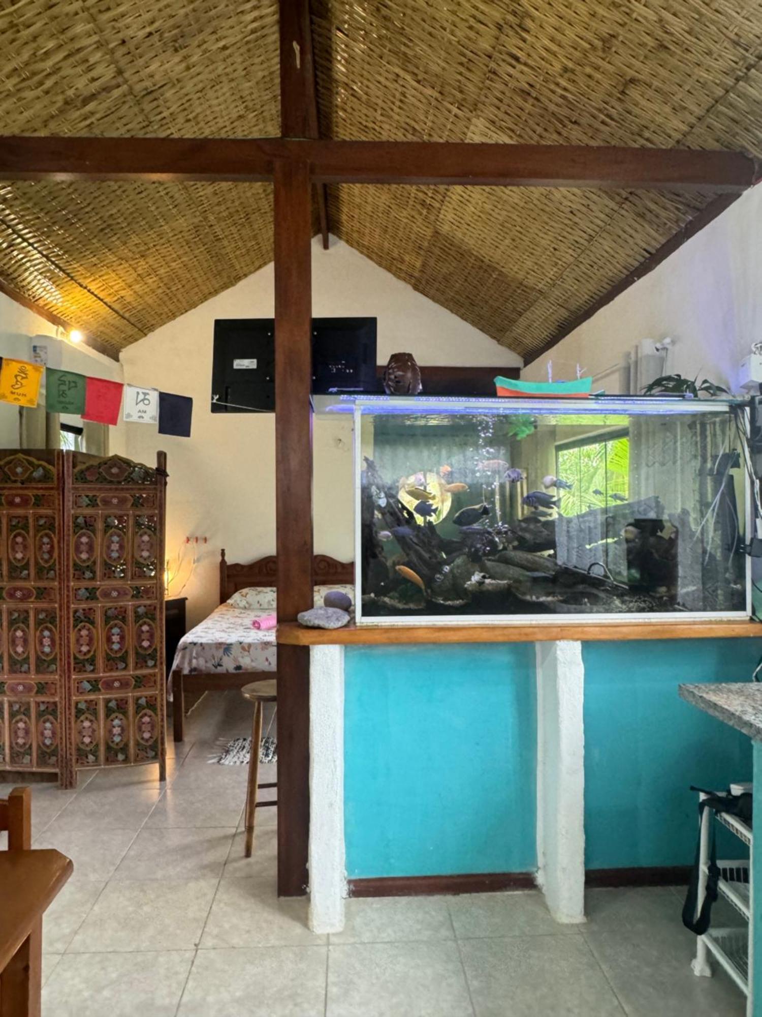 Casa Da Floresta Pico Da Aguia Paraty Ngoại thất bức ảnh